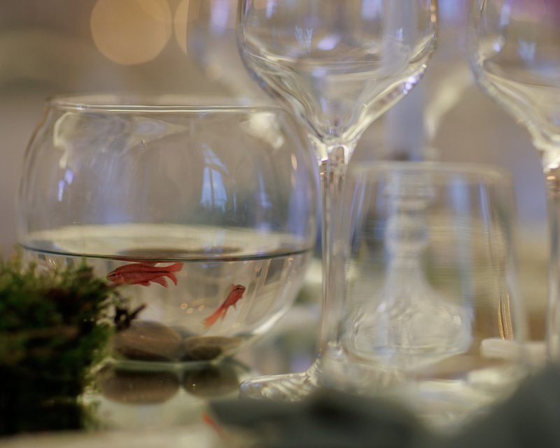 GalaGreenReport2024-10